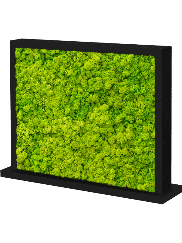 MDF Ral 9005 Zijdeglans Dubbelzijdig 100% Rendiermos (Lentegroen)