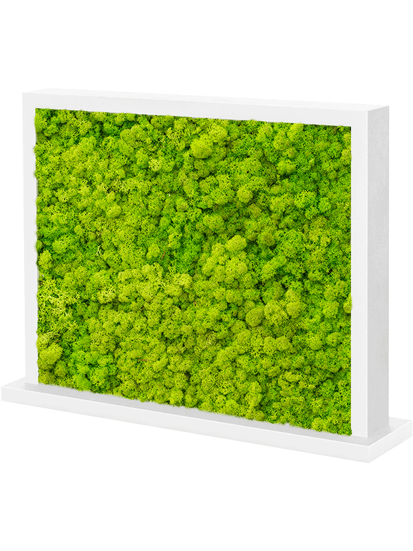 MDF Ral 9010 Zijdeglans Dubbelzijdig 100% Rendiermos (Lentegroen)