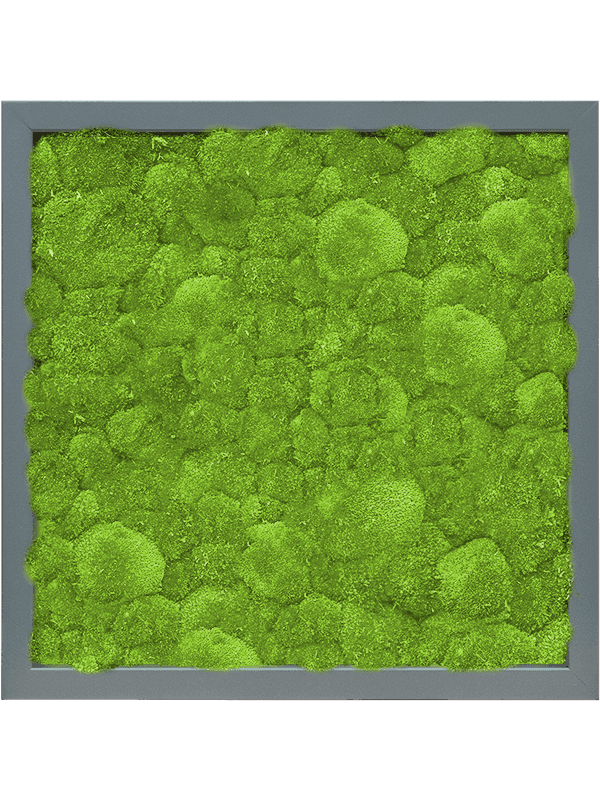MDF RAL 7016 Zijdeglans 100% Bolmos