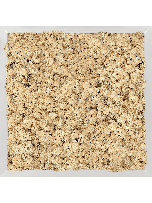 Aluminium 100% Rendiermos (Naturel)