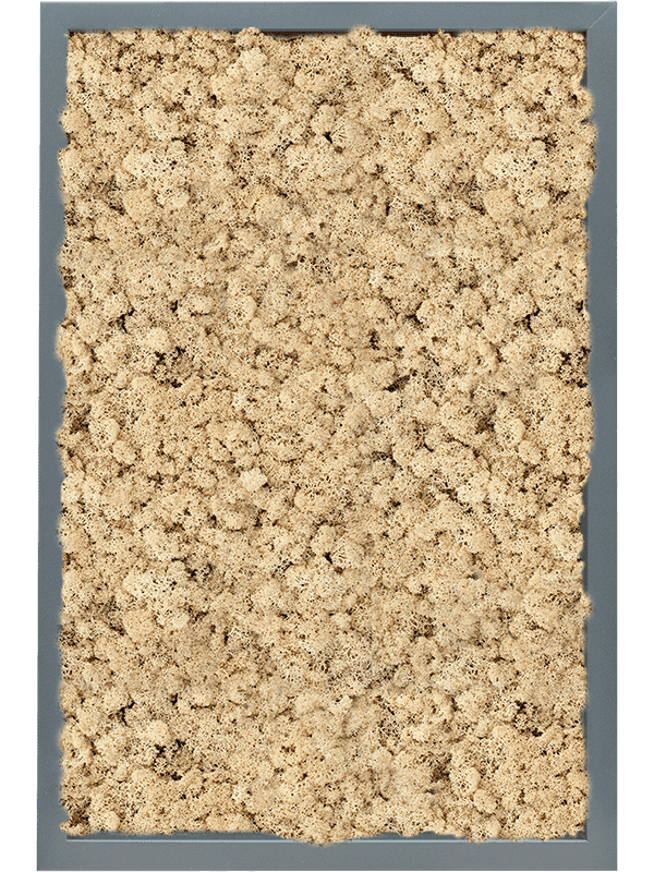 MDF RAL 7016 Zijdeglans 100% Rendiermos (Naturel)