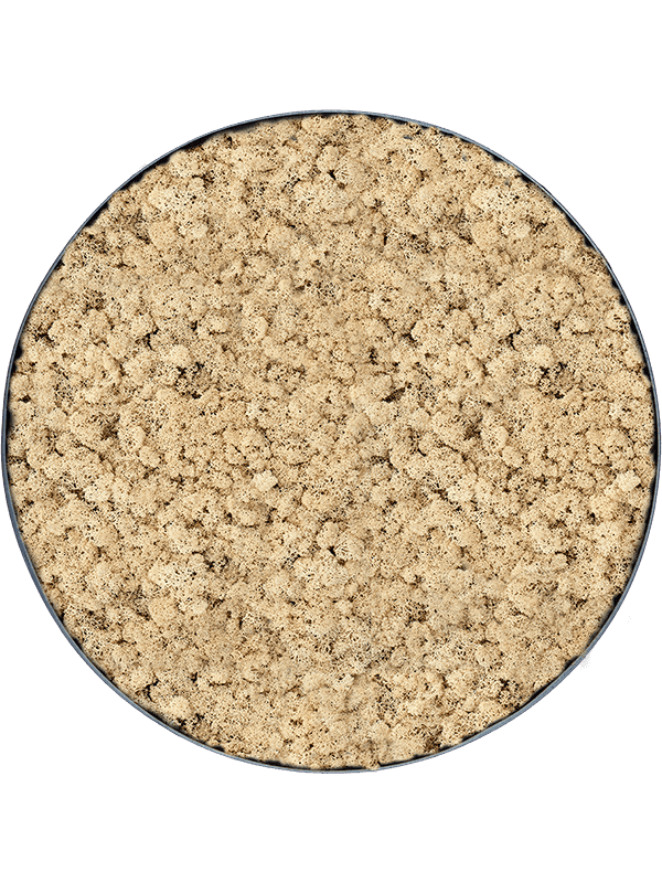 Nova Frame Anthracite-concrete 100% Rendiermos (Naturel)