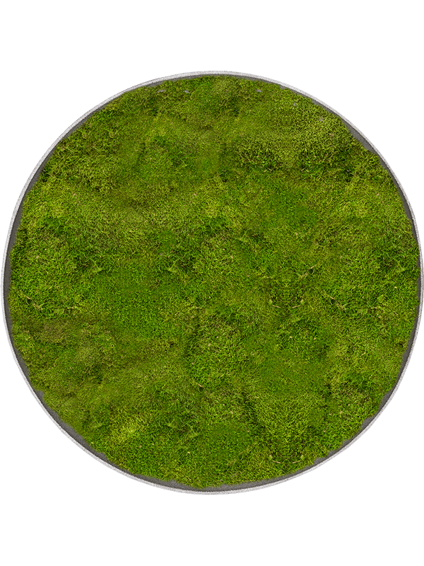 Nova Frame Natural-concrete 100% Platmos