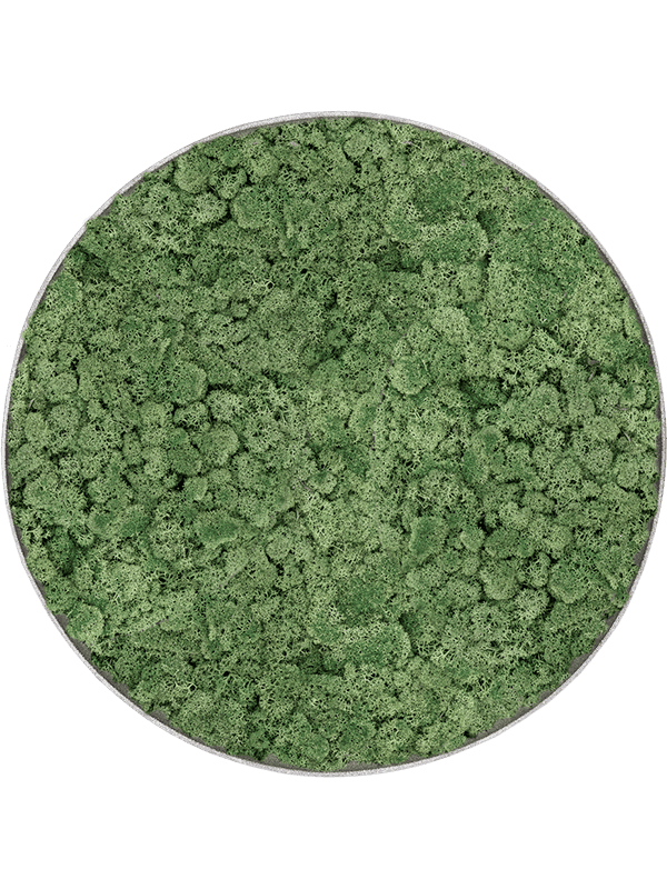 Nova Frame Natural-concrete 100% Rendiermos (Mosgroen)