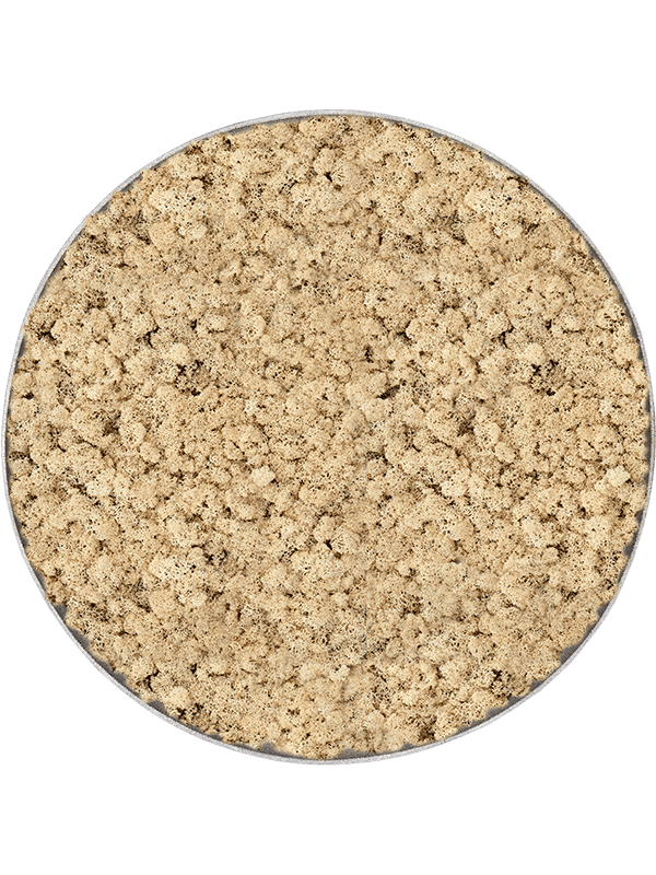 Nova Frame Natural-concrete 100% Rendiermos (Naturel)