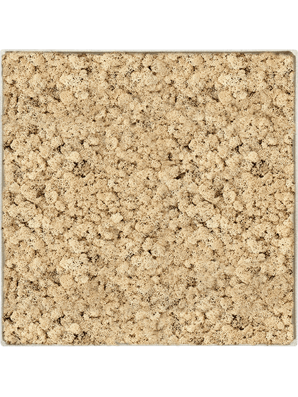 Nova Frame Antique White-concrete 100% Rendiermos (Naturel)