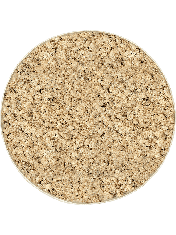 Nova Frame Antique White-concrete 100% Rendiermos (Naturel)