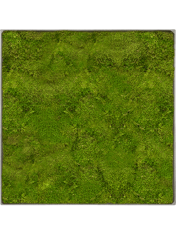 Nova Frame Natural-concrete 100% Platmos
