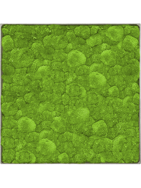 Nova Frame Natural-concrete 100% Bolmos