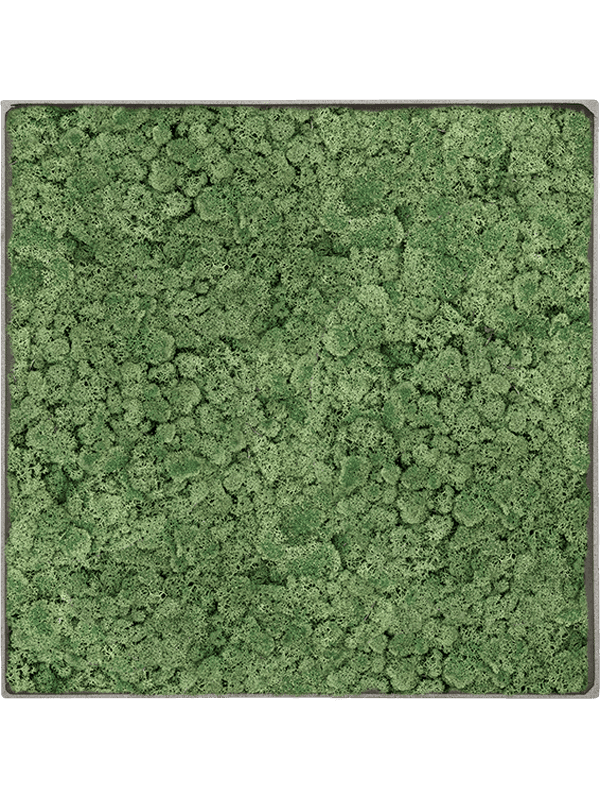 Nova Frame Natural-concrete 100% Rendiermos (Mosgroen)