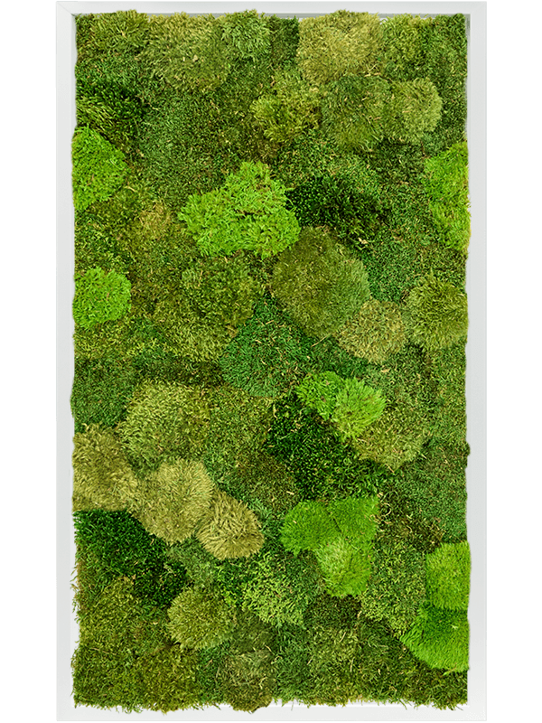 MDF RAL 9010 Zijdeglans 20% Plat en 80% Exclusieve Moss (mix)