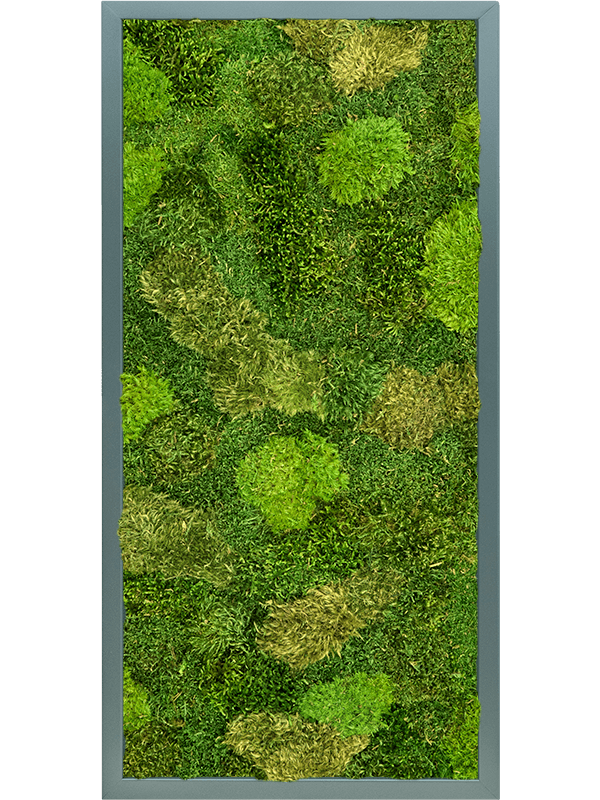 MDF RAL 7016 Zijdeglans 20% Plat en 80% Exclusieve Moss (mix)