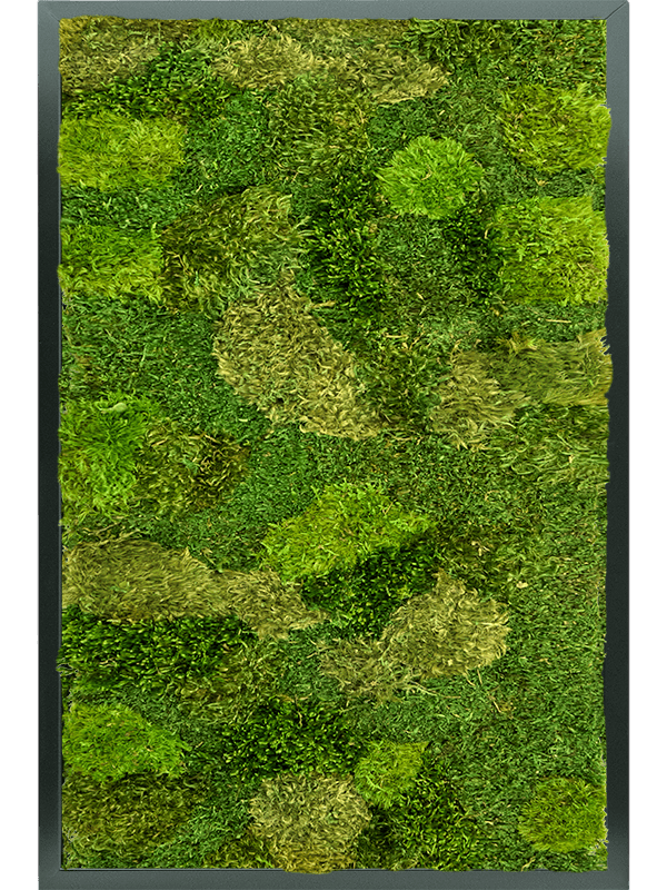 MDF RAL 9005 Zijdeglans 20% Plat en 80% Exclusieve Moss (mix)