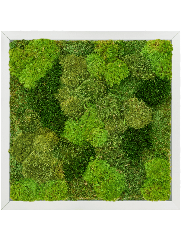 Aluminium 20% Plat en 80% Exclusieve Moss (mix)