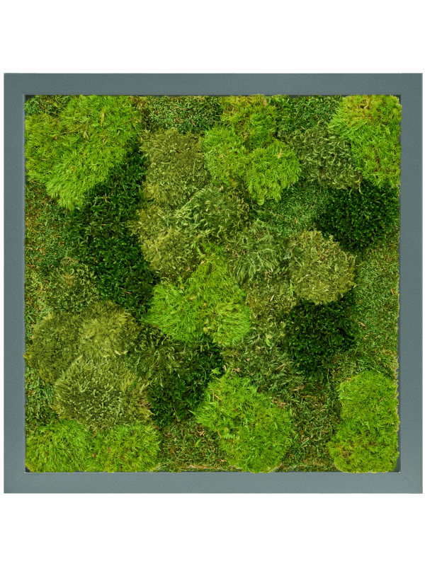 MDF RAL 7016 Zijdeglans 20% Plat en 80% Exclusieve Moss (mix)