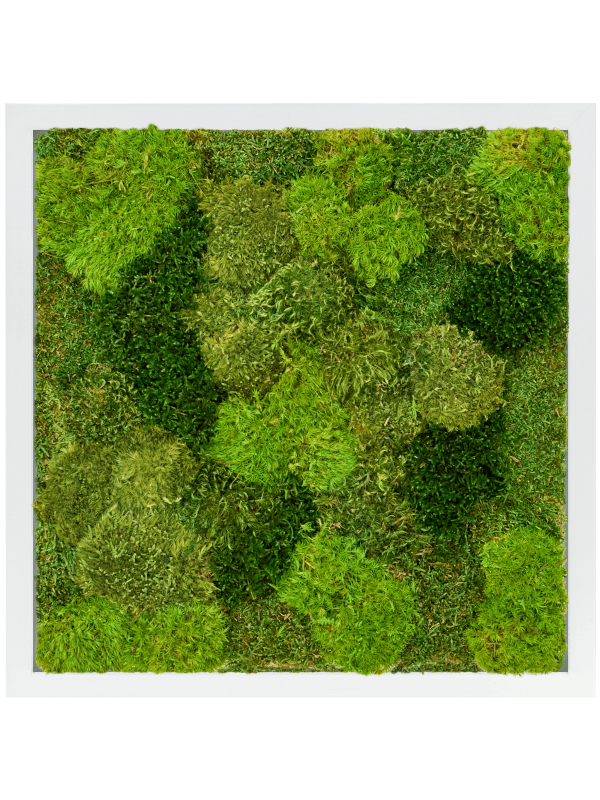 MDF RAL 9010 Zijdeglans 20% Plat en 80% Exclusieve Moss (mix)