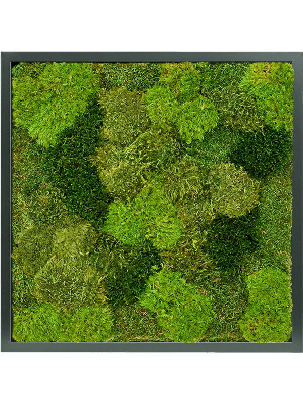 MDF RAL 9005 Zijdeglans 20% Plat en 80% Exclusieve Moss (mix)