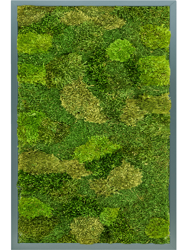 MDF RAL 7016 Zijdeglans 20% Plat -en 80% Exclusive moss (mix)